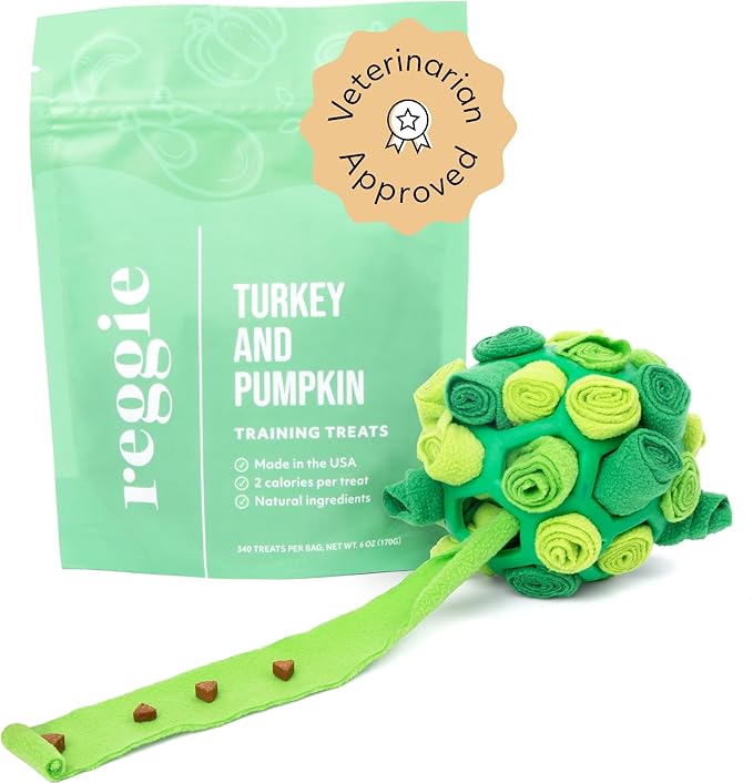 Reggie Forager Ball for Dogs | Mealtime Enrichment Toy | Reduces Boredom, Hyperactivity, Stress | Vet-Approved &amp; Ideal for All Ages, Breeds, and Sizes (Forager Ball - Turkey &amp; Pumpkin)