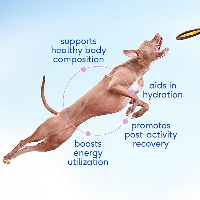 Native Pet Goat Milk for Dogs - Organic Goat Milk Powder for Dogs and Cats - Puppy Formula Dairy Replacement Packed with Protein &amp; Vitamins for Immunity, Recovery &amp; Growth for Active Pups - 120 Scoops