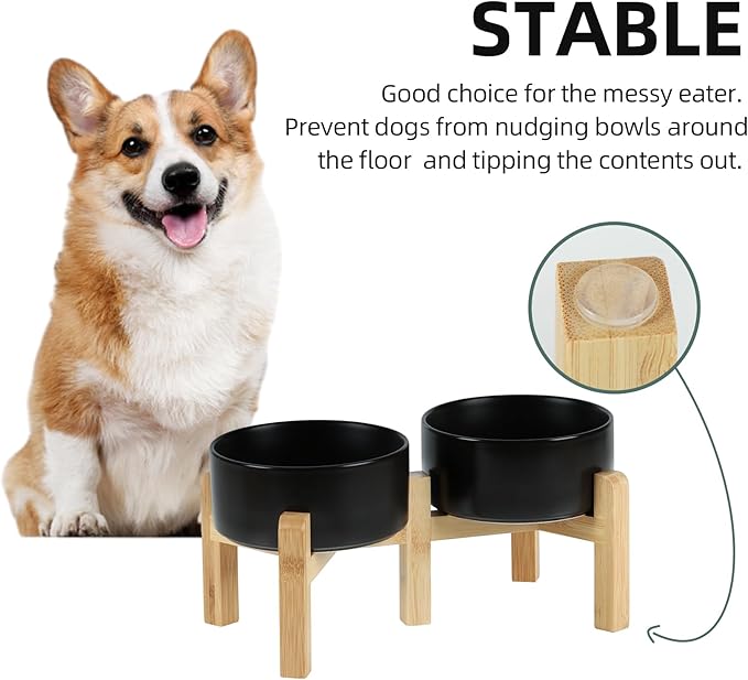 Ceramic Raised Double Bowls Set with Stand, 2 Heights Elevated, Food &amp; Water Bowls for Small Breed Dogs, Weighted Dog Dishes, Pet Bowl(6.1&