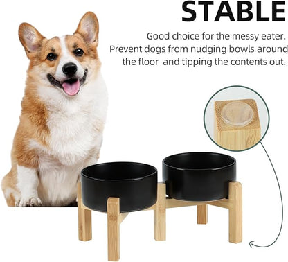 Ceramic Raised Double Bowls Set with Stand, 2 Heights Elevated, Food &amp; Water Bowls for Small Breed Dogs, Weighted Dog Dishes, Pet Bowl(6.1&