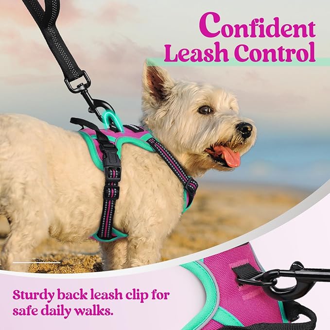 rabbitgoo Dog Harness No Pull with 2 Leash Clips, Adjustable Soft Padded, Reflective Oxford No Choke Pet Vest with Easy Control Handle for Large Dogs, Hot Pink &amp; Turquoise, XS