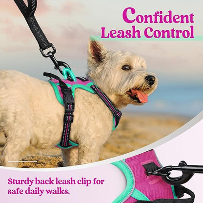 rabbitgoo Dog Harness No Pull with 2 Leash Clips, Adjustable Soft Padded, Reflective Oxford No Choke Pet Vest with Easy Control Handle for Large Dogs, Hot Pink &amp; Turquoise, XS