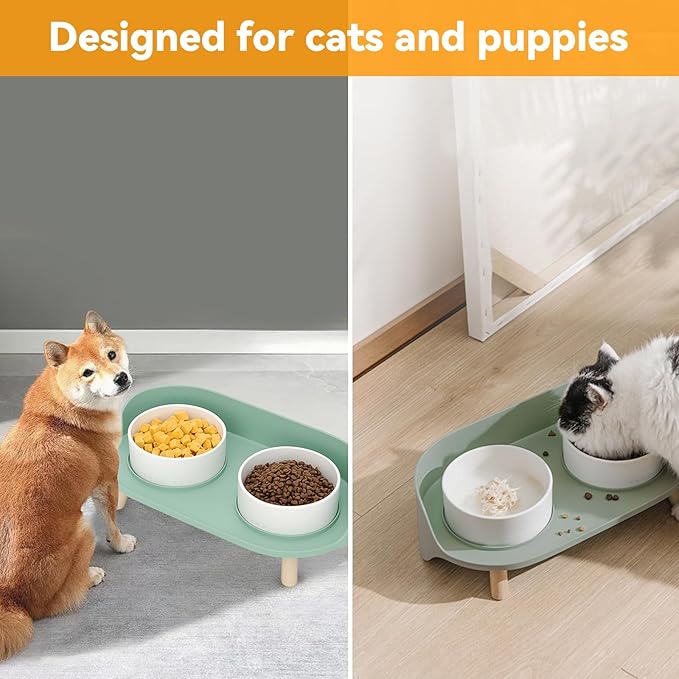 Elevated Dog Bowls Set, Ceramic Pet Food &amp; Water Bowls with Non-Slip Stand, No Spill Design for Cats/Small Medium Dogs Green