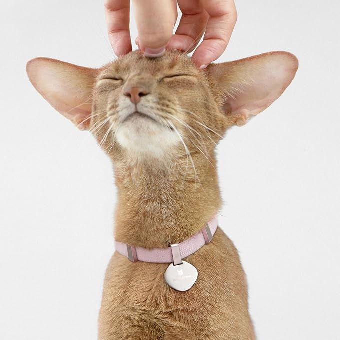 Safety Cat Collar - U.S. IDA Gold Awarding Design, Elastic Quick Release, Non Breakaway - Lightweight for Kitten, Neck Fit 5.9&