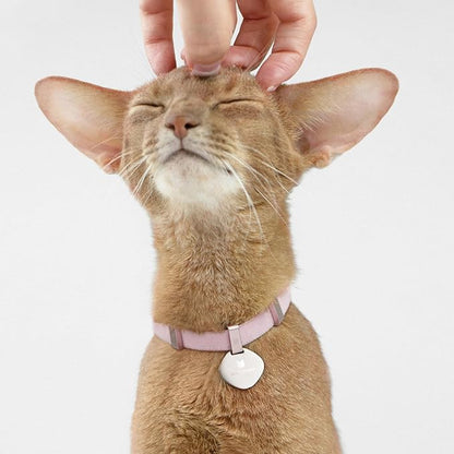 Safety Cat Collar - U.S. IDA Gold Awarding Design, Elastic Quick Release, Non Breakaway - Lightweight for Kitten, Neck Fit 5.9&