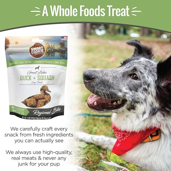 Smart Cookie All Natural Soft Dog Treats - Duck &amp; Squash - Training Treats for Dogs with Allergies or Sensitive Stomachs - Grain Free Dog Treats, Chewy, Human-Grade, Made in USA - 5oz Bag