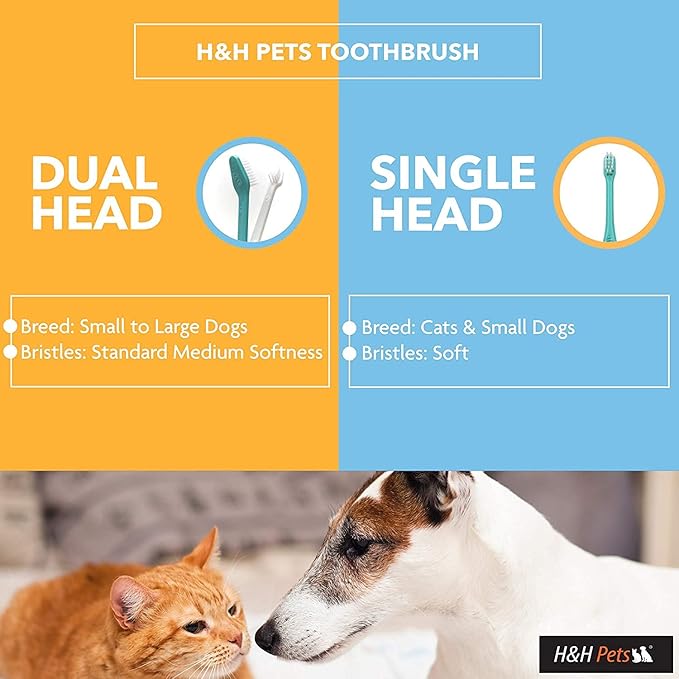 H&amp;H Pets Toothbrush for Small Dogs &amp; Cats - Soft and Extra Small Toothbrush Designed for Cats, Puppies, and XS Breed Dogs Like Teacups, Chihuahuas, Yorkshire, and Poodle, 8 Count Pack