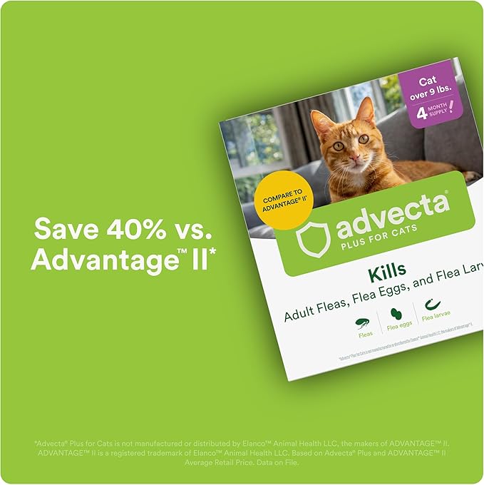 Plus Flea Prevention for Cats, Cat and Kitten Treatment &amp; Control, Small and Large, Fast Acting Waterproof Topical Drops, 2 Month Supply