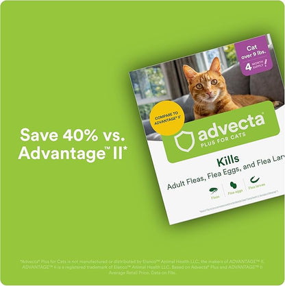 Plus Flea Prevention for Cats, Cat and Kitten Treatment &amp; Control, Small and Large, Fast Acting Waterproof Topical Drops, 2 Month Supply