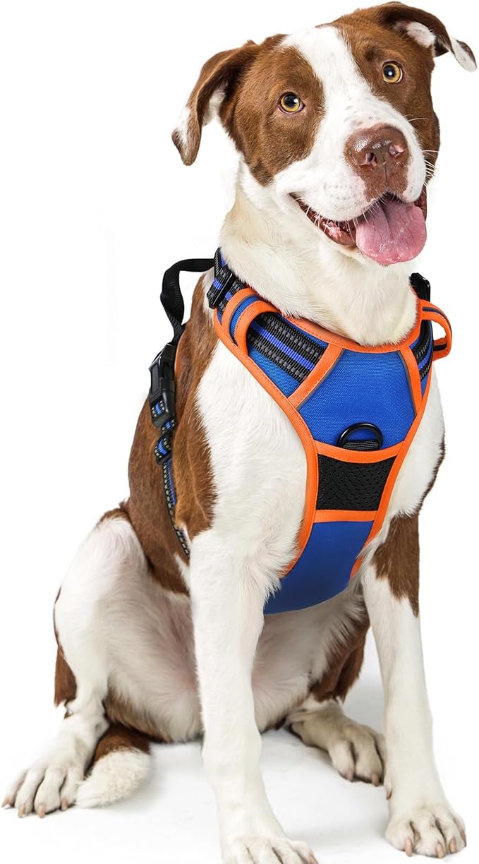 rabbitgoo Dog Harness No Pull with 2 Leash Clips, Adjustable Soft Padded, Reflective Oxford No Choke Pet Vest with Easy Control Handle for Large Dogs, Blue &amp; Orange, L