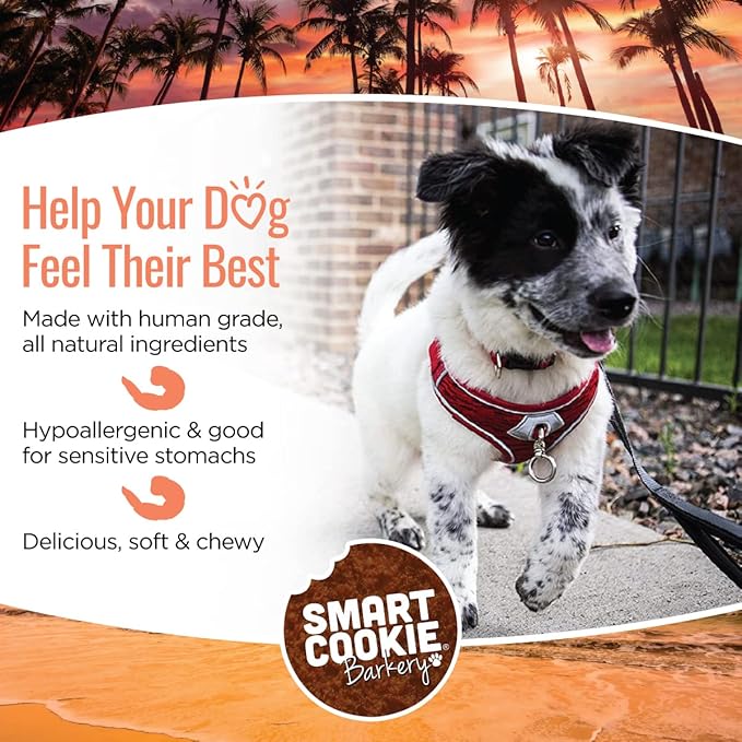 Smart Cookie All Natural Soft Dog Treats - Shrimp &amp; Coconut - Healthy Dog Treats for Allergies, Sensitive Stomachs - Chewy, Grain Free, Human-Grade, Made in The USA - 5oz Bag, 1 Pack