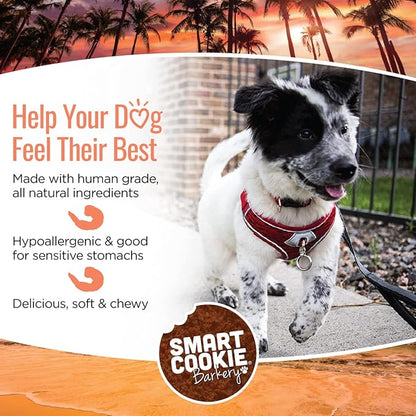 Smart Cookie All Natural Soft Dog Treats - Shrimp &amp; Coconut - Healthy Dog Treats for Allergies, Sensitive Stomachs - Chewy, Grain Free, Human-Grade, Made in The USA - 5oz Bag, 1 Pack