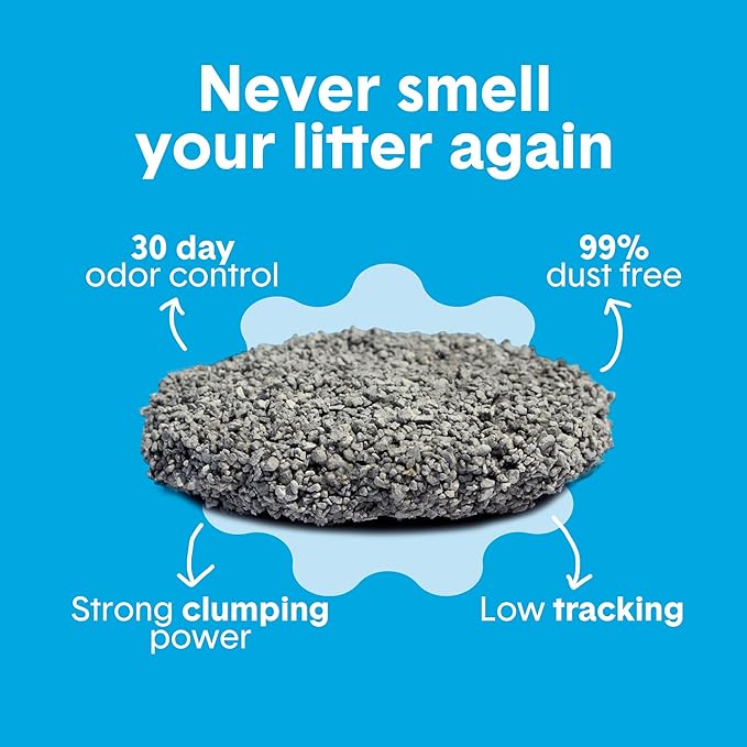 Boxie® Unscented 30 Day Odour Control Clumping Clay Cat &amp; Kitty Litter 28 lb, 99.9% Dust-Free, Hard Flat Top® Clumps, No Fragrances No Fillers, Long-Lasting, Easy to Scoop
