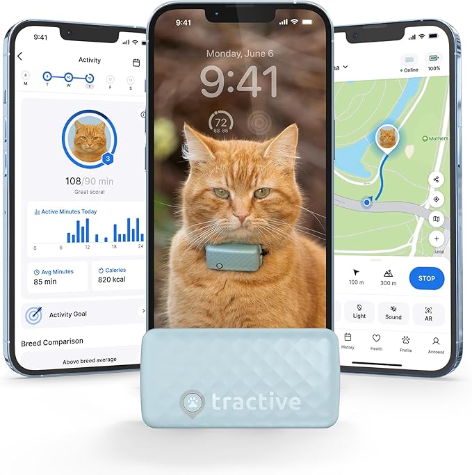 Tractive Smart Cat GPS Tracker | Real-Time Location &amp; Wellness Monitoring for Cats 6.5 lbs+ | Territory &amp; Location History | Up to 5-Day Battery | Breakaway Collar Included (Mint)