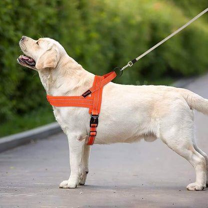 Didog No Pull Dog Harness with Soft Mesh Padded,Reflective &amp; Quick Fit Light Weight Dog Strap Vest Harness,Easy for Walking Training (S:Chest 18-22", Orange)
