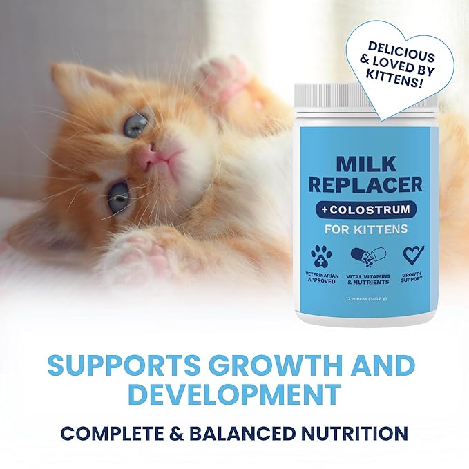 Under the Weather Kitten Milk Replacer Powder + Colostrum | Kitten Milk Replacement Formula | Nutrient-Rich Formula with Colostrum for Immune &amp; Digestive Support – 12 oz
