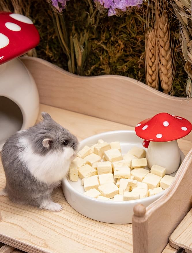 Niteangel Hamster Snack &amp; Treats Toy - Small Animal Natural Treat for Dwarf Syrian Robo Hamsters Gerbils Mice Lemmings Degus or Other Small-Sized Pets