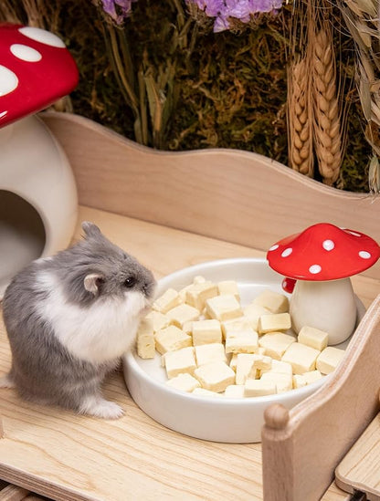 Niteangel Hamster Snack &amp; Treats Toy - Small Animal Natural Treat for Dwarf Syrian Robo Hamsters Gerbils Mice Lemmings Degus or Other Small-Sized Pets