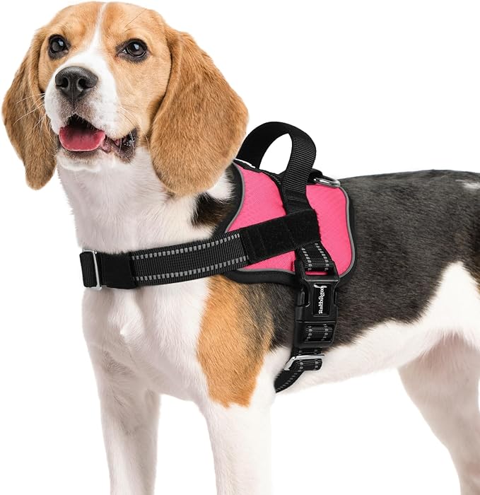 rabbitgoo Dog Harness Medium Sized, Easy On Pet Vest with One Buckle, No Pull Adjustable Service Harness with D-Ring &amp; Handle, Reflective for Safety Walking, Training, Pink, M