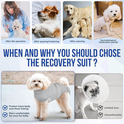 Lukovee Recovery Suit for Dogs, Zipper On Recovery Suit for Female Male Dog, Onesie Abdominal Wounds Cone E-Collar Alternative Prevent Licking Spay Recovery Suit (GY,XXL)