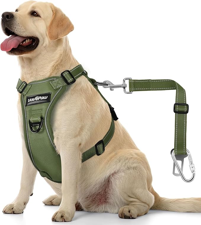 Dog Seat Belt Harness for Car, Dog Car Harness Adjustable Mesh Breathable &amp; Dogs Seatbelt Safety Tether with Elastic Bungee for Small Medium Large Pets(Army Green, L)
