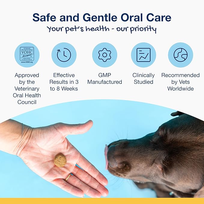 ProDen PlaqueOff Soft Chews with Natural Kelp - for Small &amp; Medium Breed Dogs &amp; Cats - Supports Normal, Healthy Teeth, Gums, and Breath Odor in Dogs &amp; Cats - 90 Soft Chews