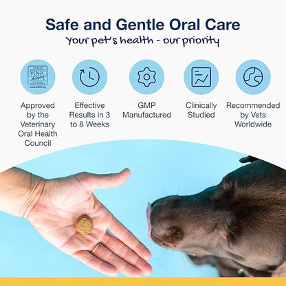 ProDen PlaqueOff Soft Chews with Natural Kelp - for Small &amp; Medium Breed Dogs &amp; Cats - Supports Normal, Healthy Teeth, Gums, and Breath Odor in Dogs &amp; Cats - 90 Soft Chews