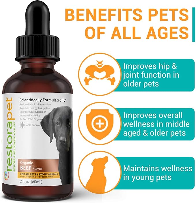 RestoraPet 4-Pack Dog &amp; Cat Beef Liquid Multivitamin | Dog Arthritis Pain Relief | Hip &amp; Joint Vitamins for Dogs - Anti Inflammatory Supplement for Dogs &amp; Cats | Organic &amp; Non-GMO, Vet Approved