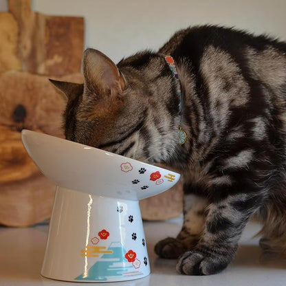 Necoichi Extra Wide Raised Cat Food Bowl, Elevated, Prevent Neck &amp; Whisker Fatigue, Dishwasher and Microwave Safe, No.1 Seller in Japan! (Fuji, Extra Wide Tilted)