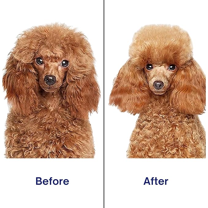 Self‑Cleaning Pet Grooming Brush for Dogs &amp; Cats – One‑Click Fur Release, Soft Rounded Bristles Massage, Ergonomic Non‑Slip TPR Handle, Safe Deshedding Tool for All Hair Types