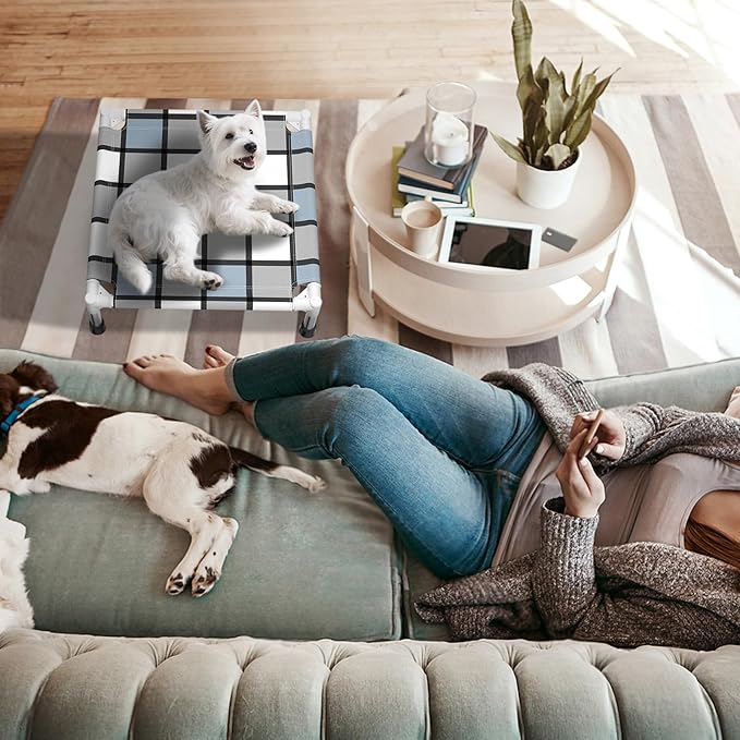 Elevated Outdoor Raised Dog Bed Outdoor Dogs Bed Lifted Pet Bed Dog Cot for Pet Taste Life, Start with A Pet Bed 20&