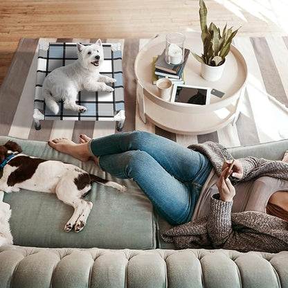 Elevated Outdoor Raised Dog Bed Outdoor Dogs Bed Lifted Pet Bed Dog Cot for Pet Taste Life, Start with A Pet Bed 20&