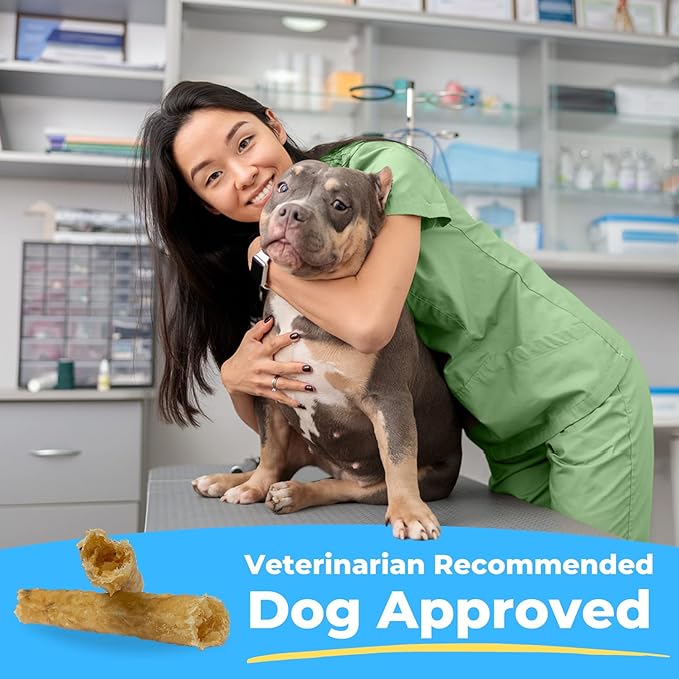 Tartar Shield Soft Rawhide Chews | Safe Dental Treats for Large Dogs | Vet VOHC Approved | Daily Bone Cleans Teeth &amp; Gums Fresh Breath Oral Health Support | USA Made | (Large Dogs / 8 Count)