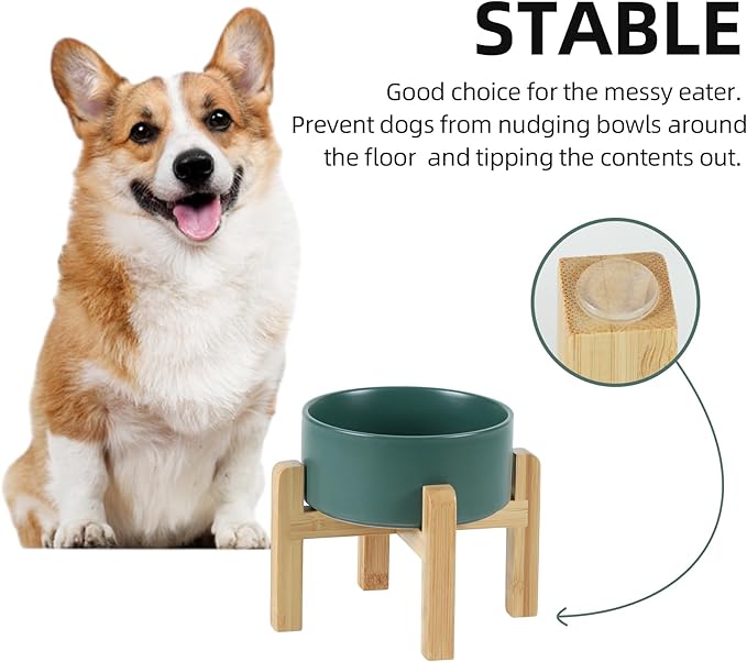 Ceramic Raised Dog and Cat Bowl Set, 2 Heights Elevated Stand, Food and Water Bowl for Small Breed Dogs, Weighted Dog Dishes, Pet Bowl(6.1&