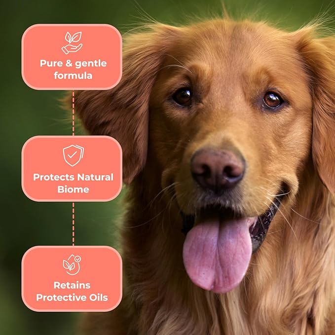 COAT DEFENSE Paw Licker Bundle | Dry Powder for Dogs &amp; Sensitive Skin Dog Shampoo for Allergies and Itching | Smell &amp; Itch Relief | Itchy Skin Relief &amp; Yeast Dog Treatment