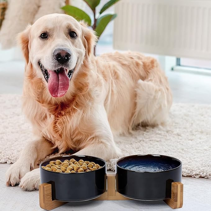 SPUNKYJUNKY Ceramic Dog and Cat Bowl Set with Wooden Stand, Modern Cute Weighted Food Water Set for Small Size Dogs (13.5OZ) &amp; Medium Sized Dogs (28.7OZ) &amp; Cats (3.6 Cups, 2 × Starry Blue)