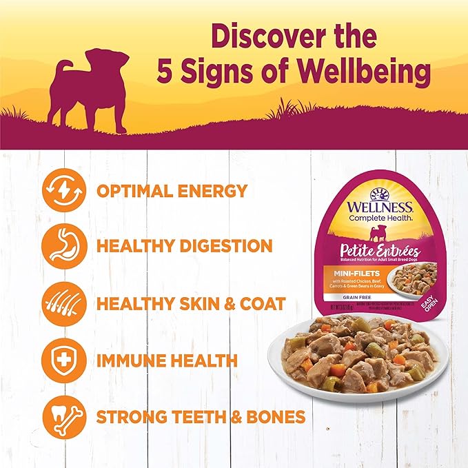 Wellness Petite Entrées Mini-Filets with Roasted Chicken, Beef, Carrots &amp; Green Beans in Gravy, 3-Ounce Cup (Pack of 24)