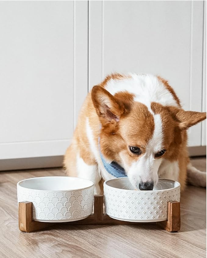 LE TAUCI Ceramic Dog Bowls with Acacia Wood Stand - 7 Inch Food &amp; Water Set for Medium-Large Dogs - Weighted Pet Bowls