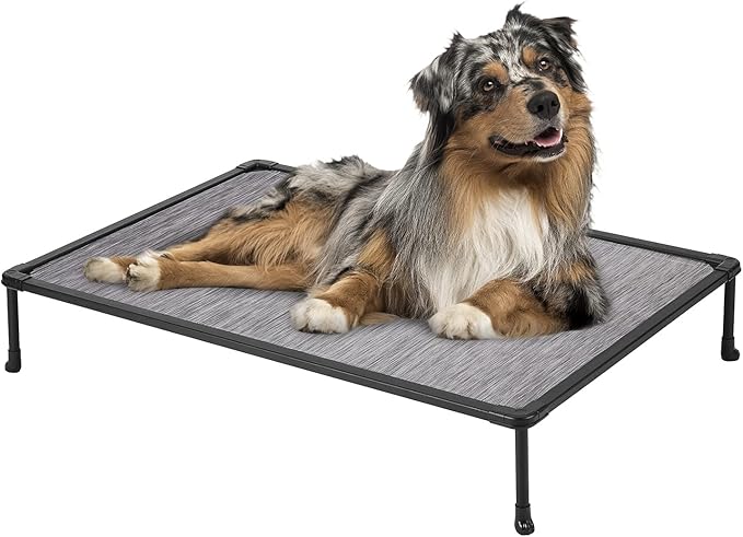 Veehoo Chewproof Elevated Dog Bed - Cooling Raised Pet Cot, Breathable Mesh, Washable &amp; Non-Slip for Medium Dogs, Indoor/Outdoor, Black Silver Mat and Black Frame, 32x25inches (Model CWC2203A03)