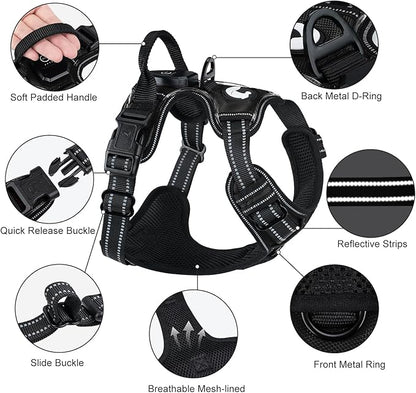 Taglory Light Up Dog Harness, Rechargeable No Pull Dog Vest with 3 Lightning Modes, Reflective Dog Harness with 2 Leash Clips &amp; 4 Adjustable Slide Strips for Small Dogs, Black-Purple, S