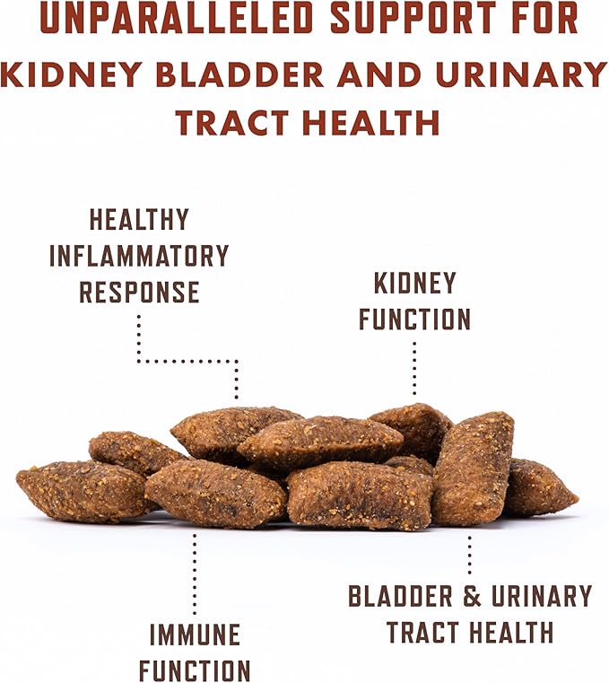 Rocco &amp; Roxie Cat Urinary Tract Health Supplement, Cranberry and D-Mannose for Kidney, Bladder, and UT Support, Vet Recommended Chicken Flavored Crunchy Chews Cats Love, Made in USA