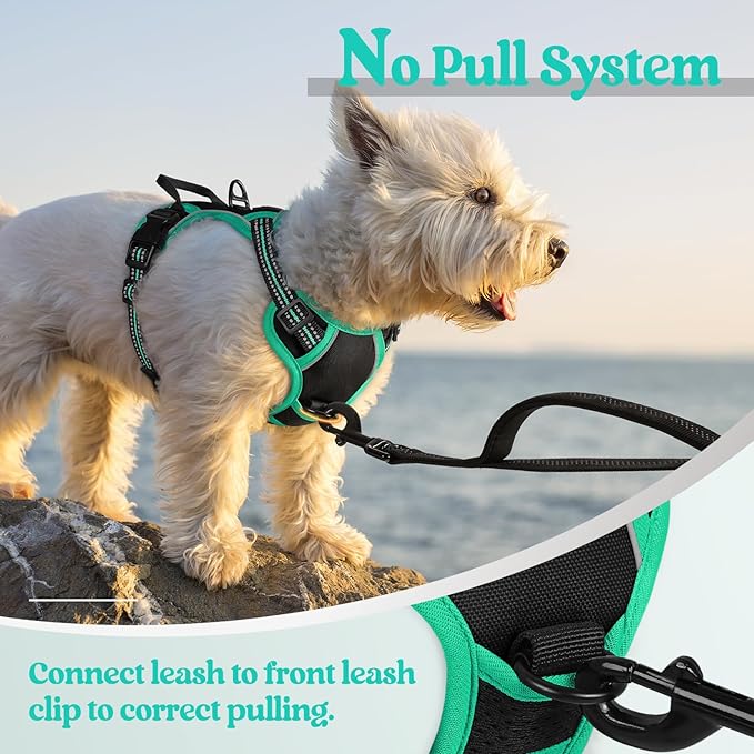 rabbitgoo Dog Harness No Pull with 2 Leash Clips, Adjustable Soft Padded, Reflective Oxford No Choke Pet Vest with Easy Control Handle for Puppy, Black &amp; Turquoise, XS