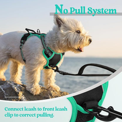 rabbitgoo Dog Harness No Pull with 2 Leash Clips, Adjustable Soft Padded, Reflective Oxford No Choke Pet Vest with Easy Control Handle for Puppy, Black &amp; Turquoise, XS