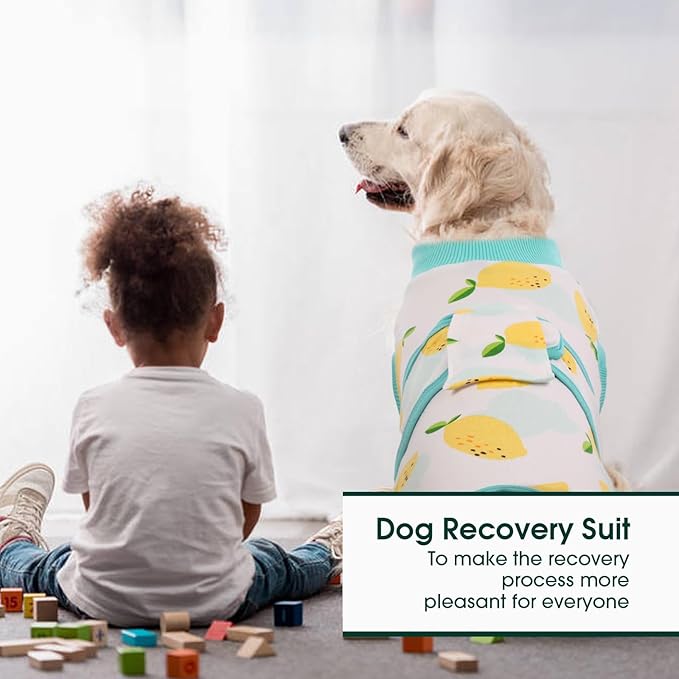 Kuoser Recovery Suit for Dogs Cats After Surgery, Professional Pet Recovery Shirt Dog Abdominal Wounds Bandages, Substitute E-Collar &amp; Cone,Prevent Licking Dog Onesies Pet Surgery Recovery Suit