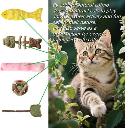 Natural Cat Toys Set with Catnip Fish &amp; Bone,Catnip Plush Toy &amp; Natural Silvervine Stick Cage Balls &amp; cat nip for Cats Lolipop, 8-Piece cat Toys for Indoor Cats Interactive Pet Toys