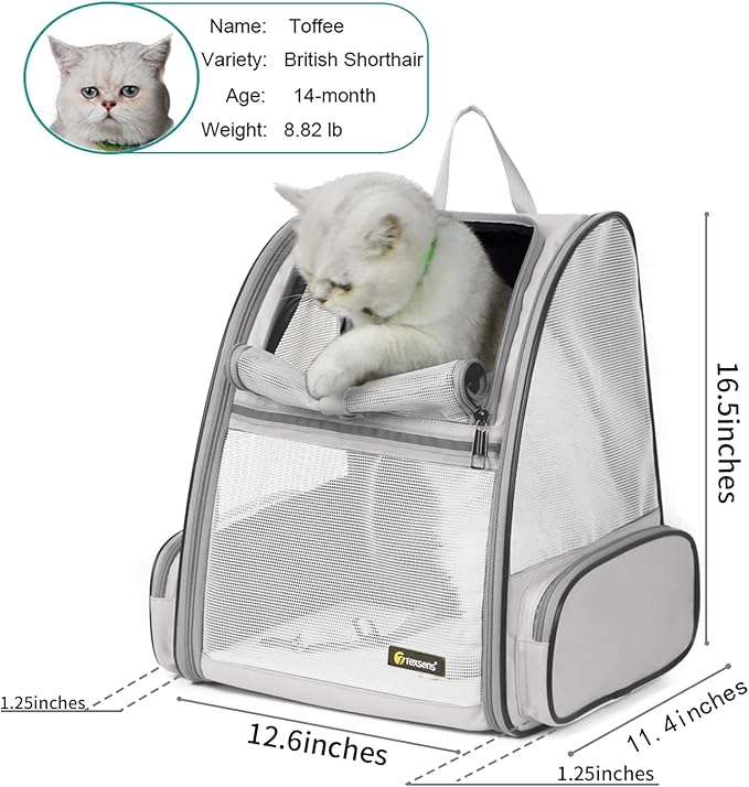 Texsens Pet Backpack Carrier for Small Cats Dogs | Ventilated Design, Safety Straps, Buckle Support, Collapsible | Designed for Travel, Hiking &amp; Outdoor Use (Light Gray)