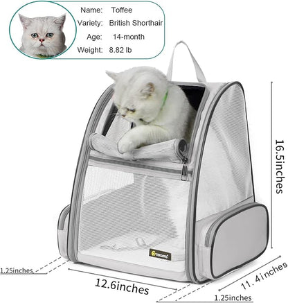 Texsens Pet Backpack Carrier for Small Cats Dogs | Ventilated Design, Safety Straps, Buckle Support, Collapsible | Designed for Travel, Hiking &amp; Outdoor Use (Light Gray)