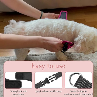 Comfort fit Step-in Dog &amp; Puppy Harness - Comfortable All Weather Dog Vest Harness: Adjustable, Soft Padded, Easy to Put-on for Small, Medium-Sized Dogs.