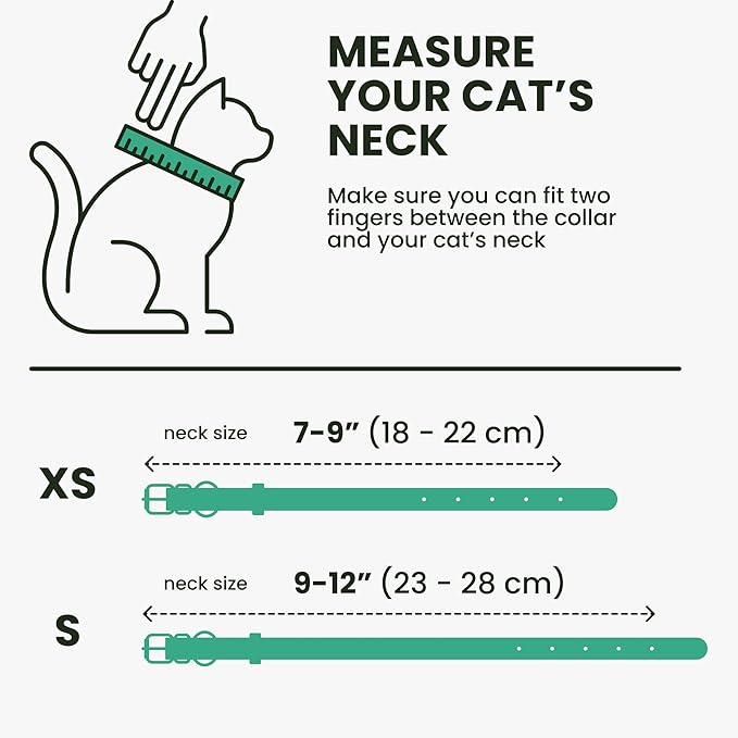 BRONZEDOG Leather Cat Collar with Removable Bells Non Breakaway Kitten QR Tag for Girl Boy (9" - 12" Cats/Mini Dogs, Green &amp; Gold)