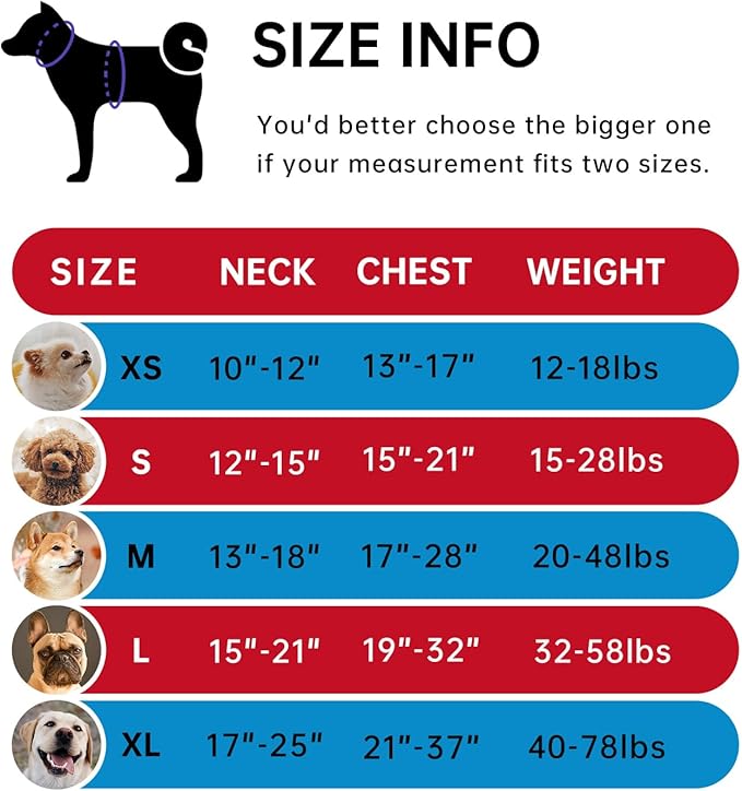 IVY&amp;LANE No Pull Dog Harness with Leash Set, Reflective No Choke Pet Vest,Adjustable Oxford Dog Vest Harness with Easy Control Handle for Medium Lagre Dogs (Checkered Red,M)